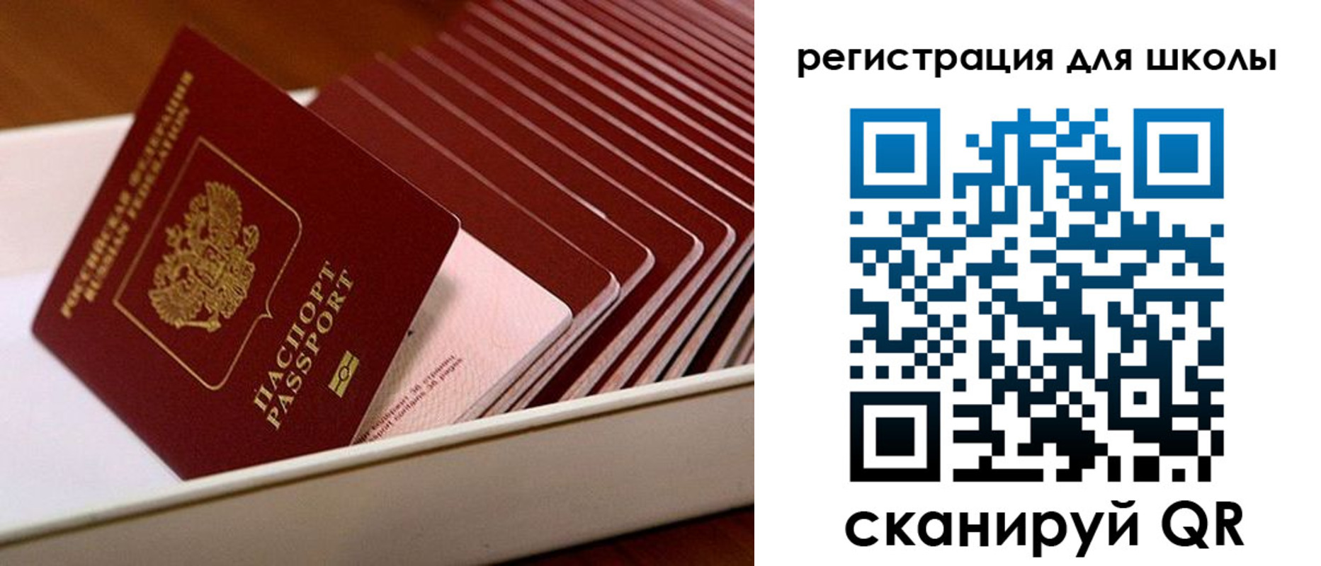 прописка гарантия в Новотроицке